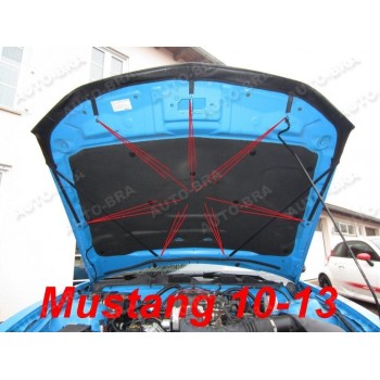 Copri Cofano per Ford Mustang V a.c. 2010 - 2014