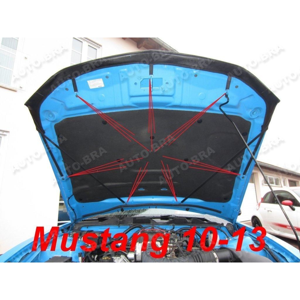 Deflektor kapoty pro Ford Mustang V r.v. 2010 - 2014