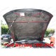 Hood Bra for Ford Mustang IV m.y. 1999 - 2004