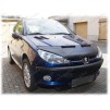 Дефлектор для Peugeot 206 (CC) 1998 - 2009