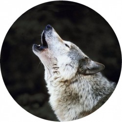 Motive Wolf Reserveradabdeckung Reserveradhülle Reifencover