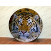 Themes Tiger Spare Wheel Cover