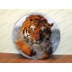 Themes Tiger Spare Wheel Cover