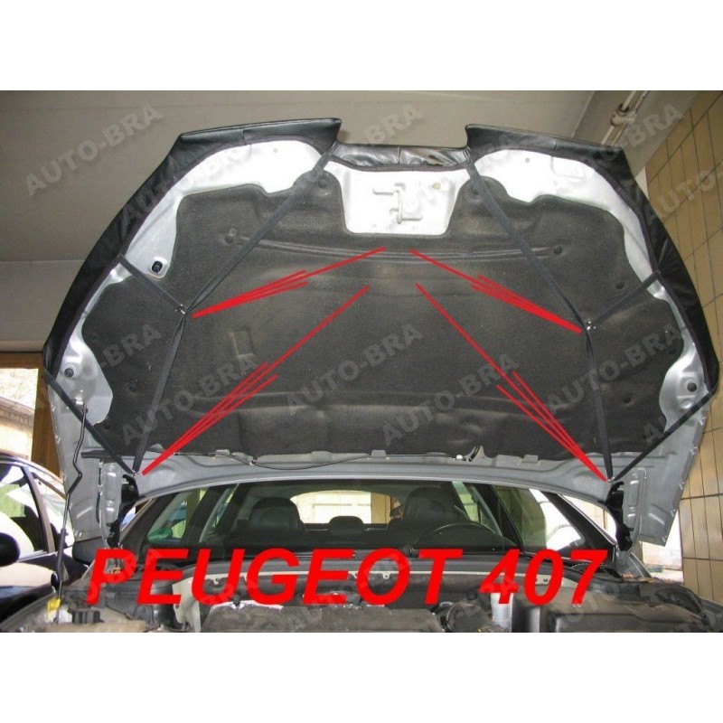 Funda coche Peugeot 407 - Funda ExternResist® : uso exterior