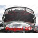 Hood Bra for Peugeot 206 (CC) m.y. 1998 - 2009