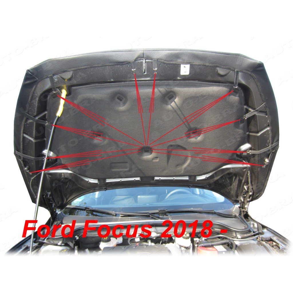 FOCUS RF-F024 FORMFIT DÉFLECTEUR DE CAPOT EN ACRYLIQUE - FORD FIESTA 14-16 main image 1