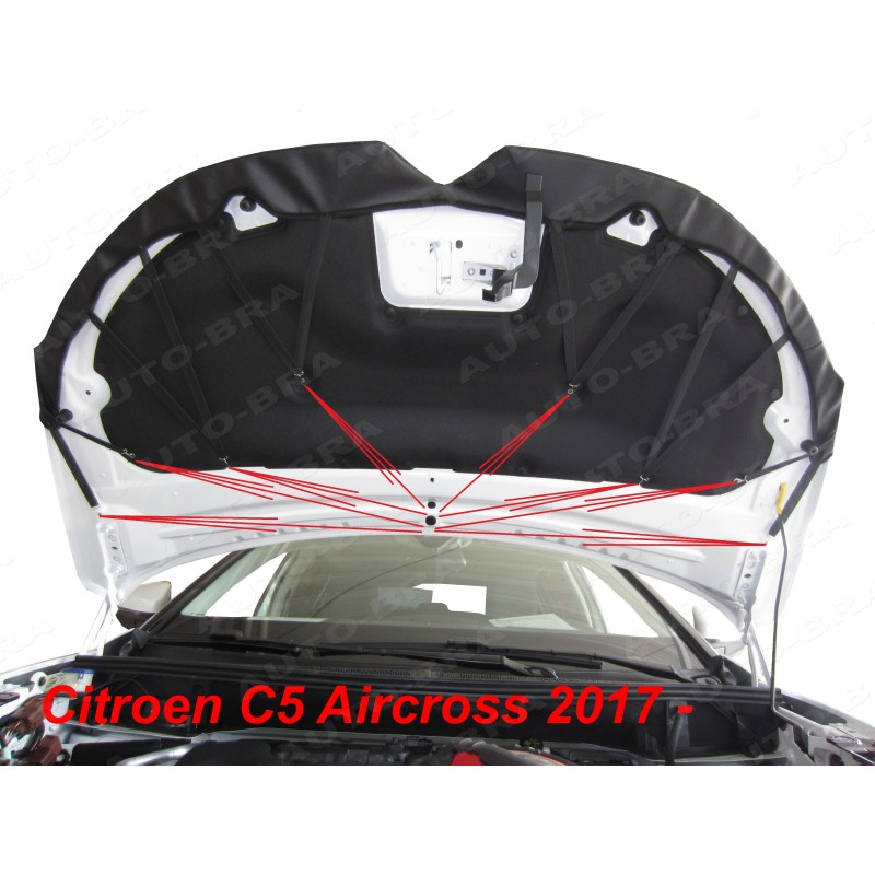 Haubenhutzen Motorhaube Zierblende für Citroen C5 Aircross 2018-2023 S