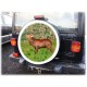 Themes Hunt Spare Wheel Cover