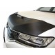 Hood Bra for Peugeot 206 (CC) m.y. 1998 - 2009