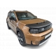 Protector del Fiat Panda a.c. 2003 - 2012